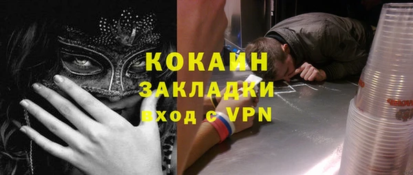 стаф Верея