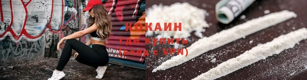 spice Бородино