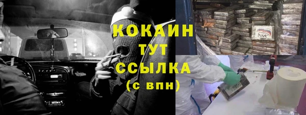 стафф Струнино