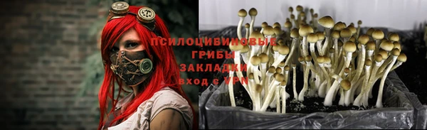 spice Бородино