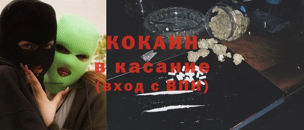 стаф Верея